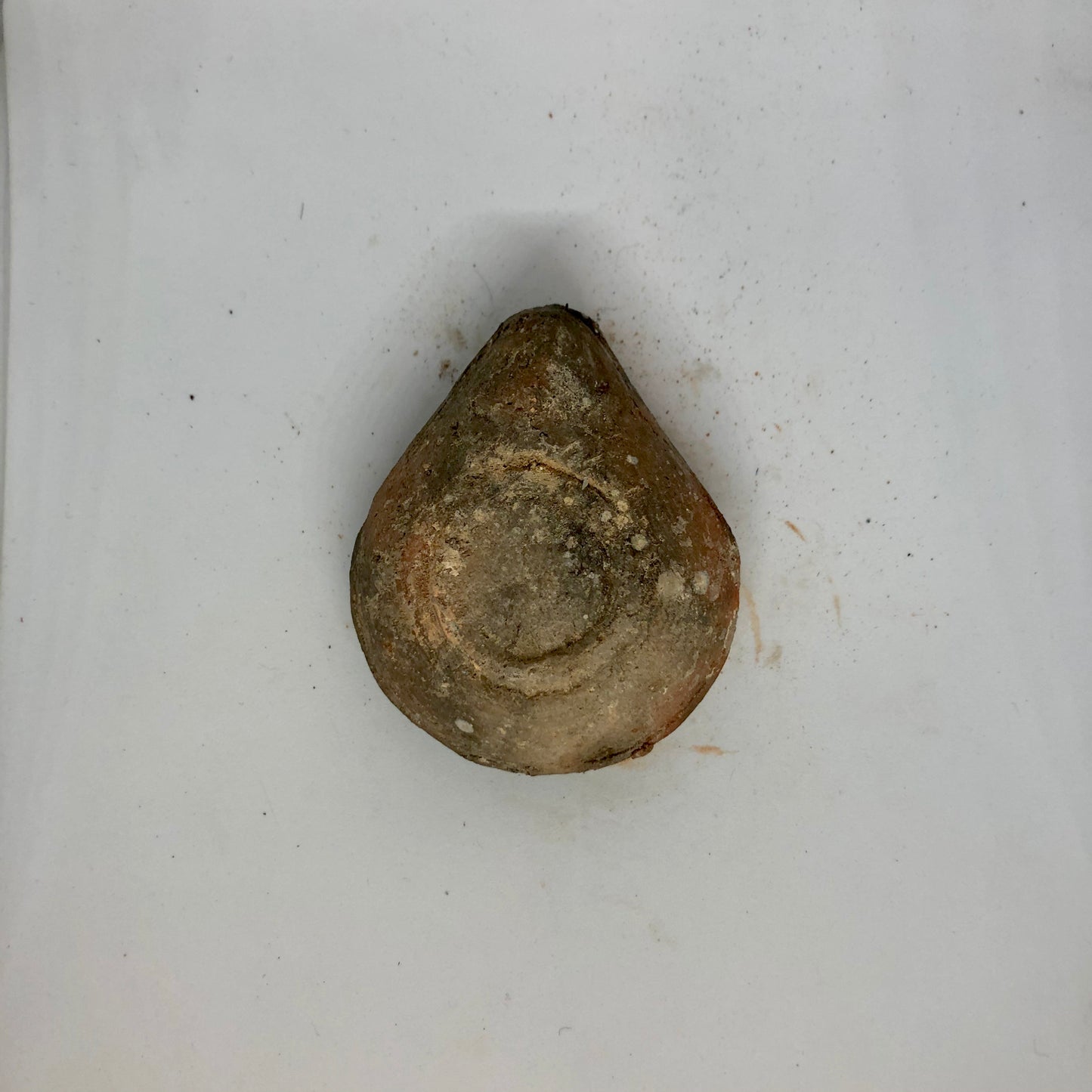 Roman Oil Lamp. 63 B.C.E